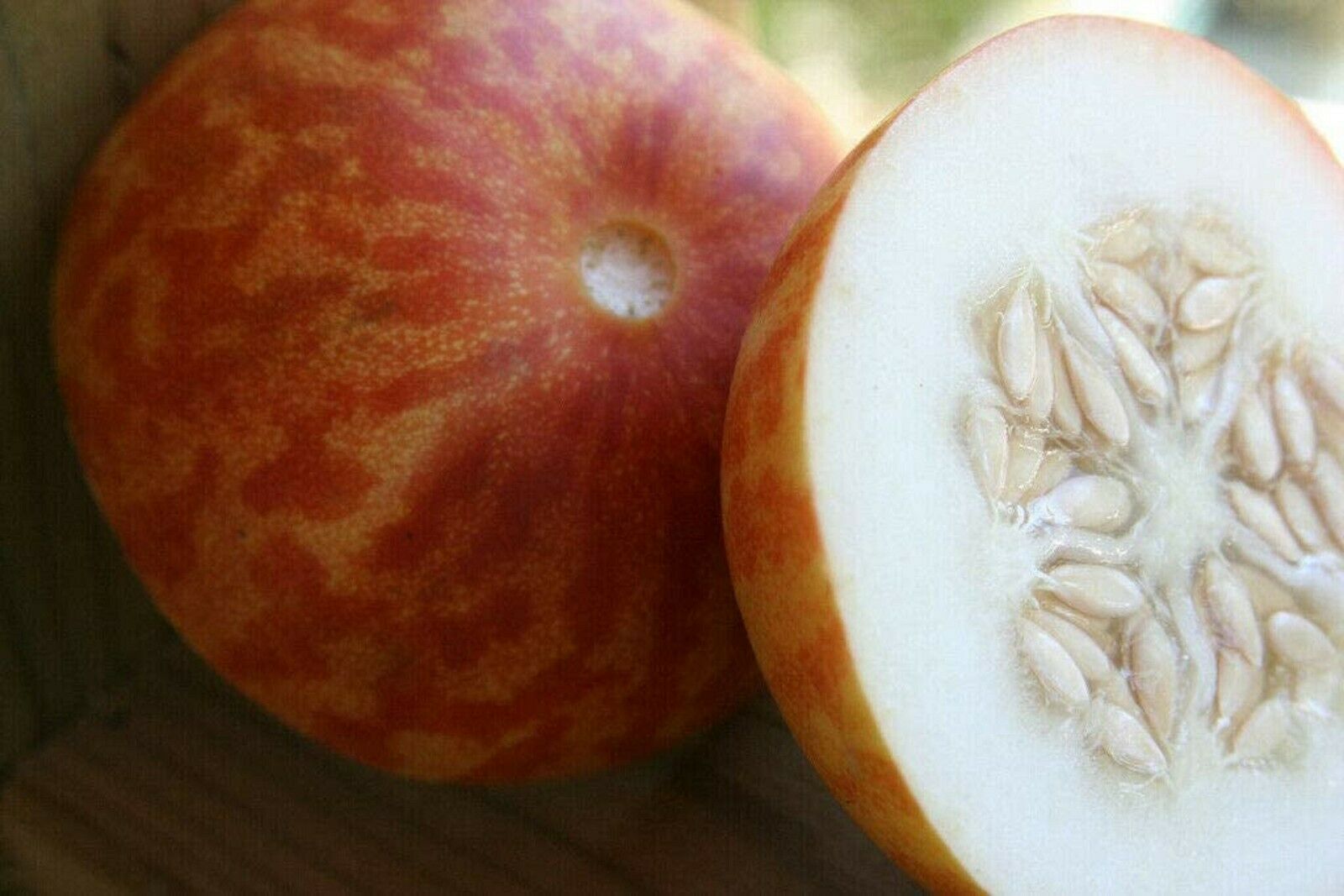 Tigger Melon ~ Cucumis Melo ~ Ornamental Edible Delicious ~ Exotic Cantaloupe ~
