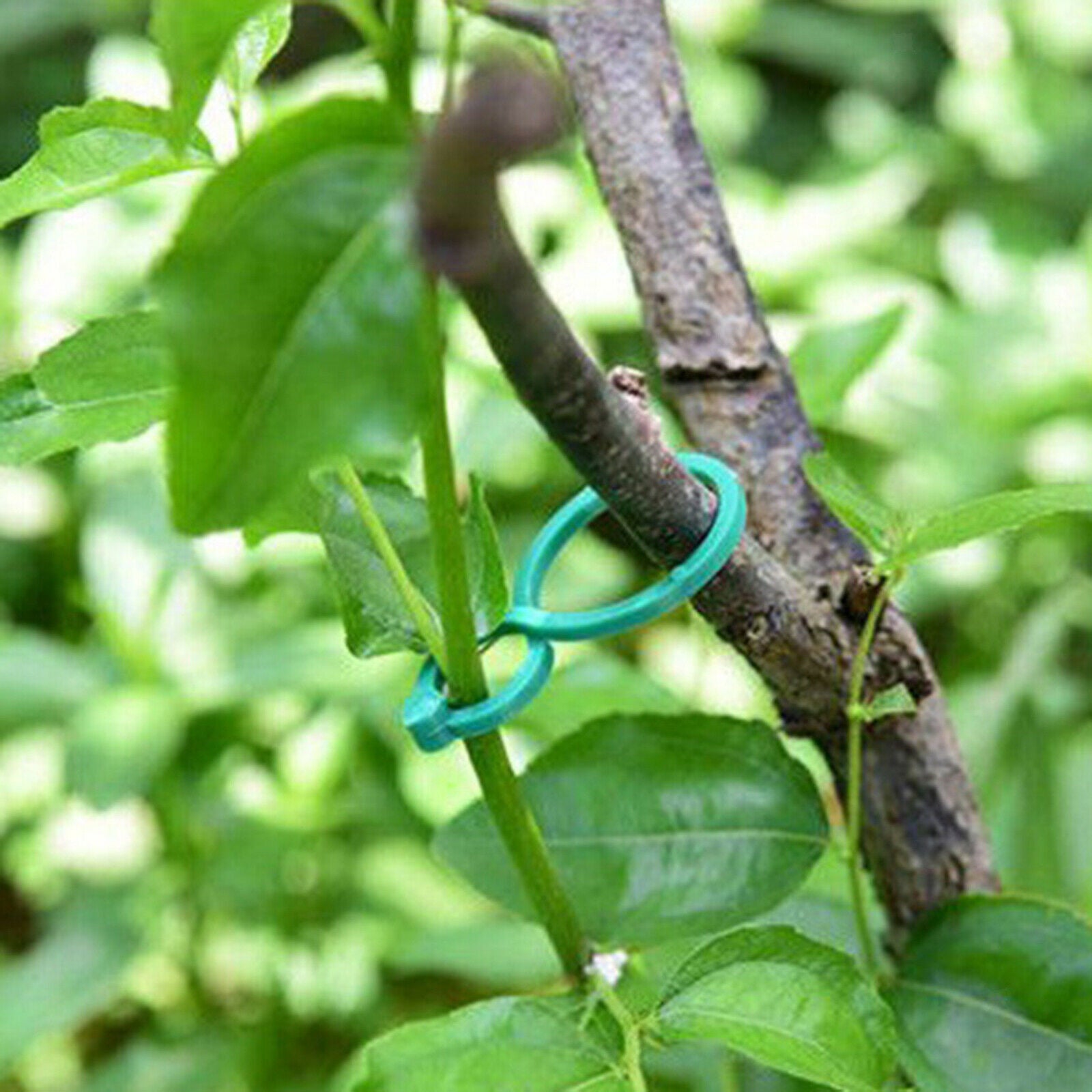 Plant Clips Pepper Flower and Vine Attaching Plant Straightening Trellis