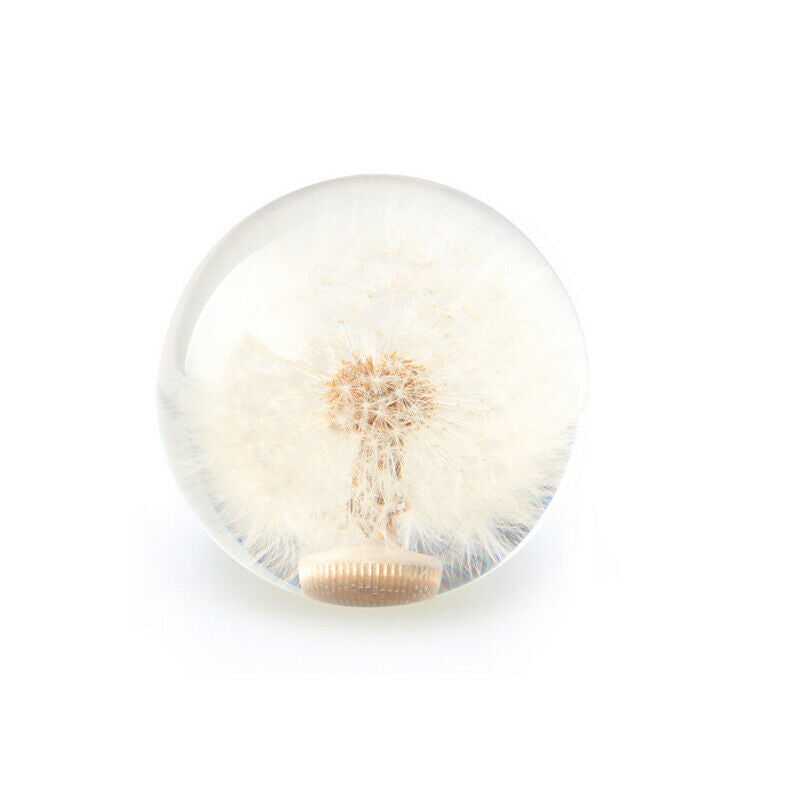 Car Shift Knob Head 70MM Crystal Ball with Dandelion Real Flowers M8 M10 Adapter