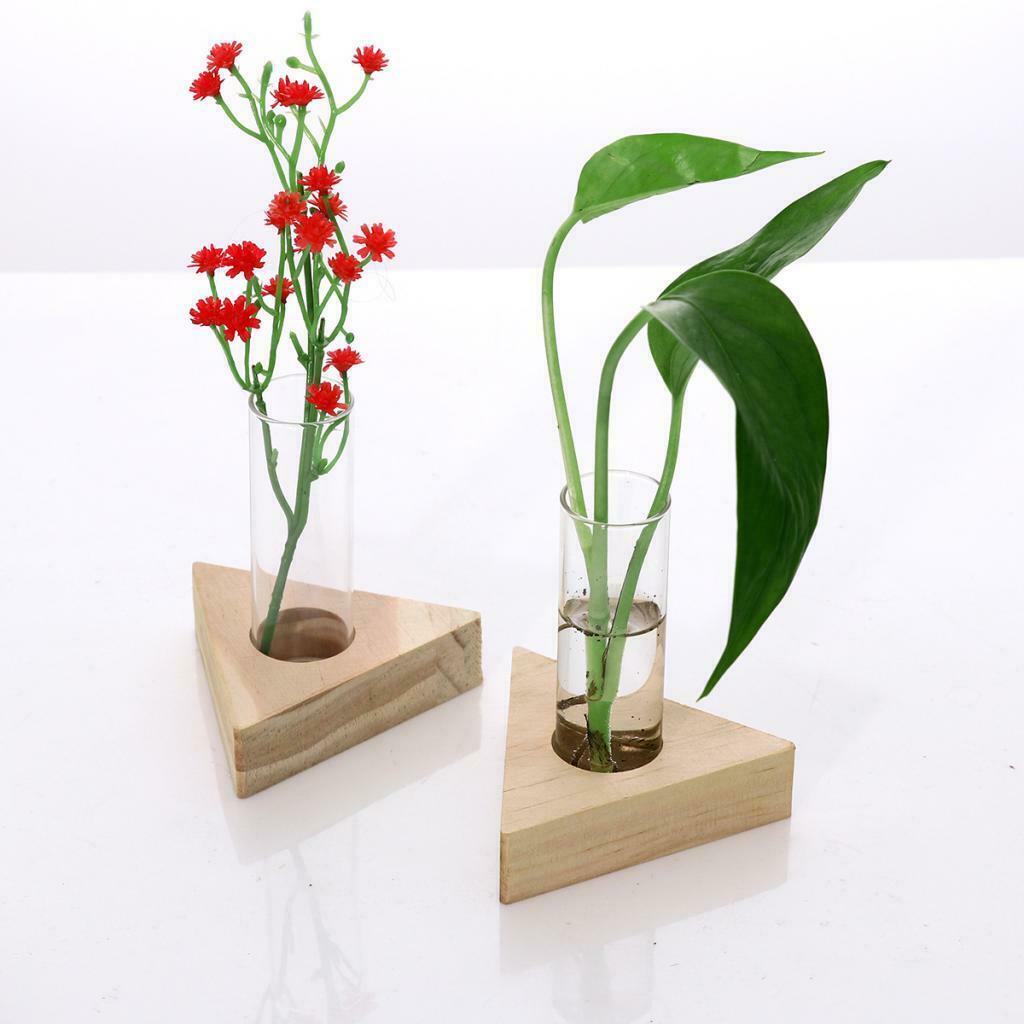2pcs Glass Test Tube Vase In Wooden Stand For Hydroponic Plants DIY Planting