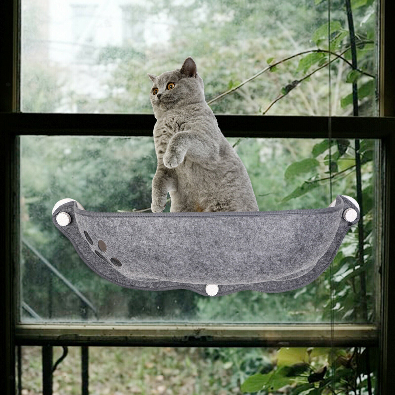 Soft Cat Hammock Cars Sunny Felt Bed Suction Cup Perch Washable Cushion Seat