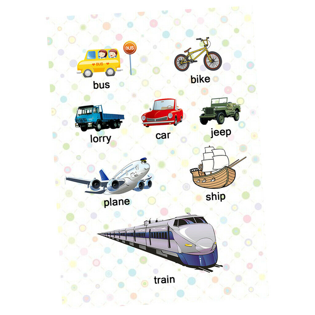 3Pcs Transport Animal &Weather Preschoolers Kids Early Learning Educational