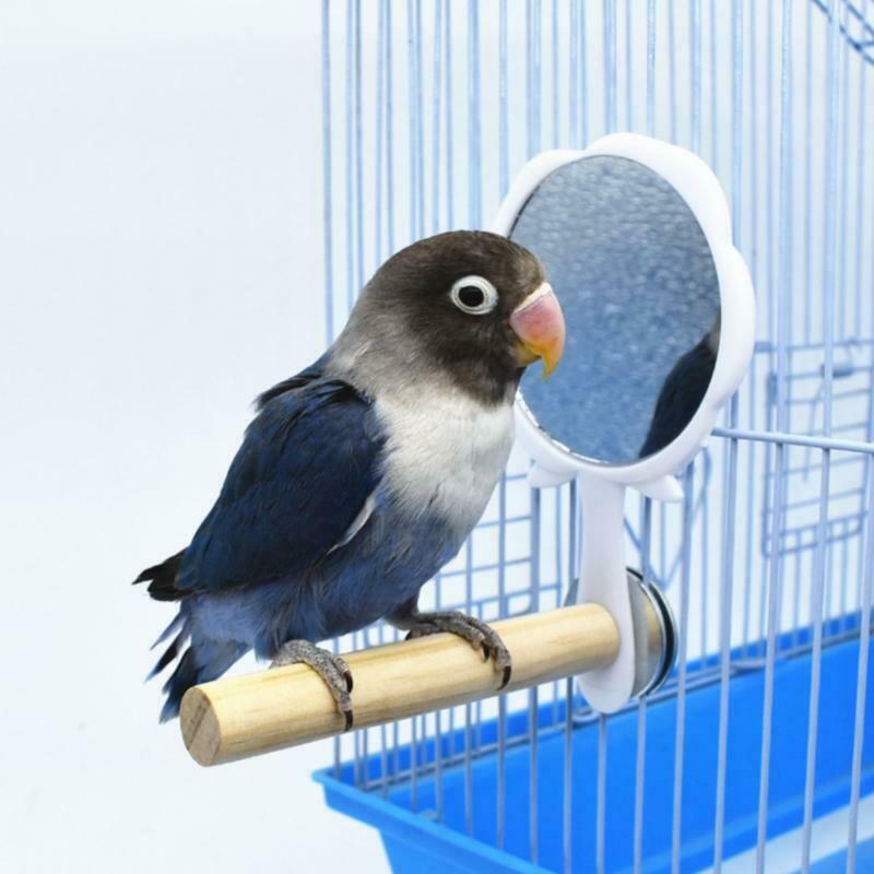 Parrot Perch Strong Wooden Jungle Gym Roosting Bar Parrot Toys With Mirror