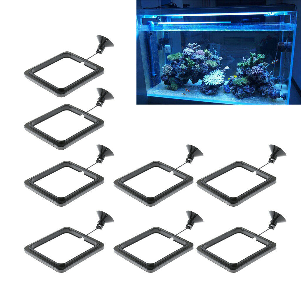 8 x Practical Floating Food Square - Reduces Waste & Maintains Water Quality for