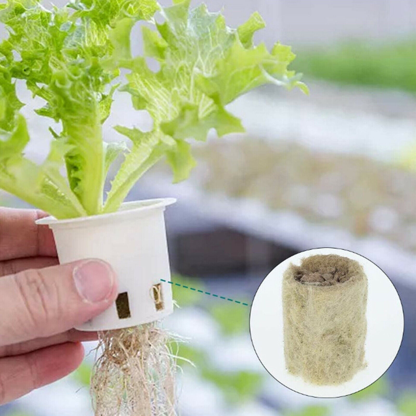 50x Plant Starter Plugs Cubes Rockwool Hydroponic Grow Media Nursery Block