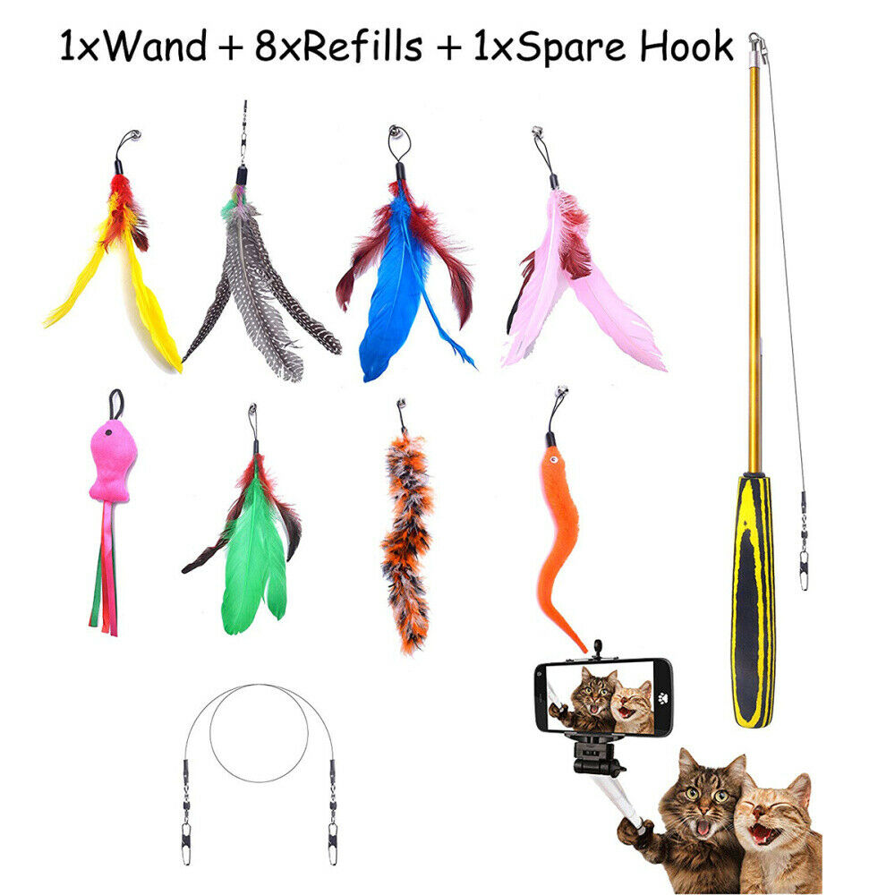 Interactive Cat Teaser Wand Rod Bird Feather Wire Chaser Funny Toys Retractable