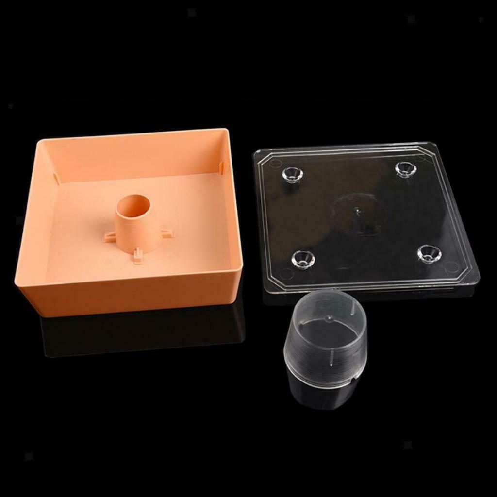 Square 2 Litres Plastic Beehive Top Feeder Bee Water Feeder Pre-assembled