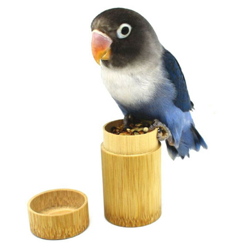 Bird Training Food Jar Parrot Hand-held Feeder IQ Growth Training ToolsBDAU