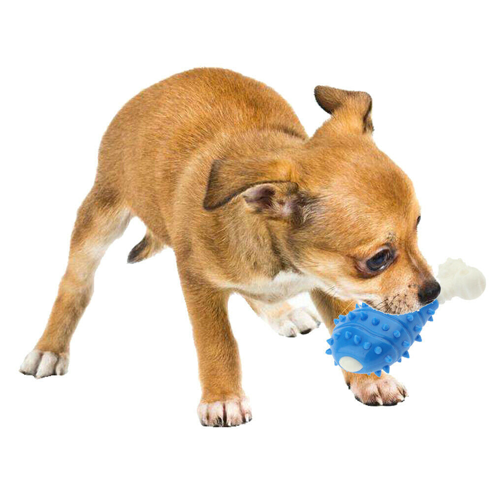 Set of 2 Dog Training Toothbrush Stick, Safe & Durable Brushing Stick Teeth