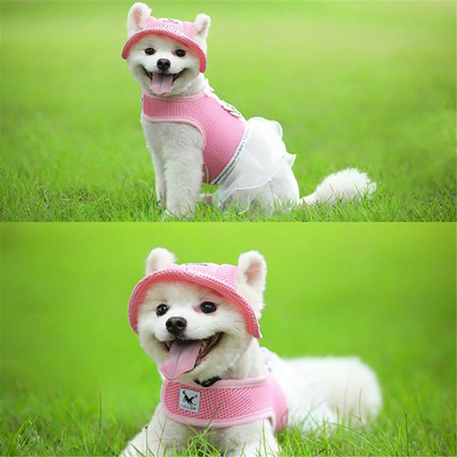 Beach Ornaments Pet Product Puppy Outdoor Visor Hat Pet Canvas Cap Dog Cap
