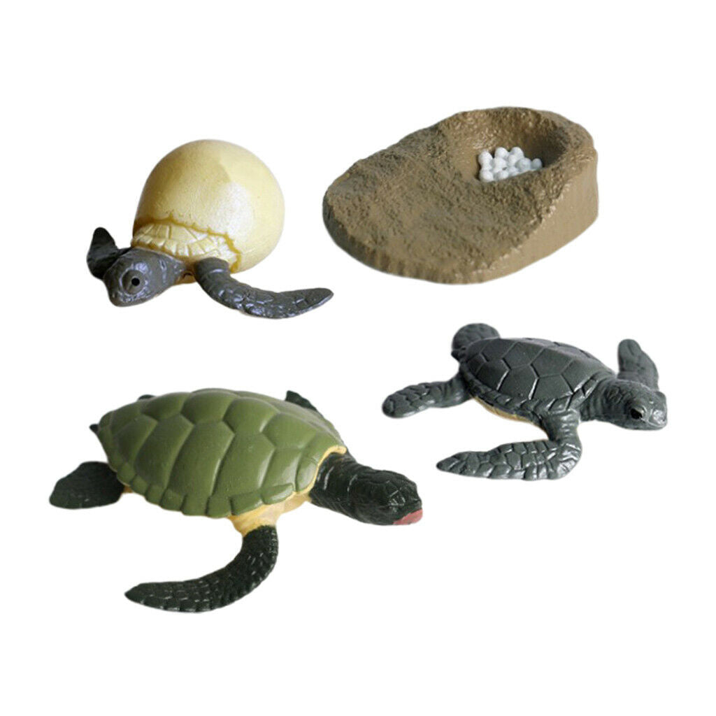 Lots 4 Solid Growth Cycle Realistic Sea Turtle Figures Kids Collectibles