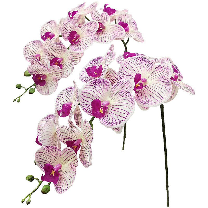 2Pcs Real Press Orchid Stems Flowers Artificial Phalaenopsis Branches 9 LargW3N3