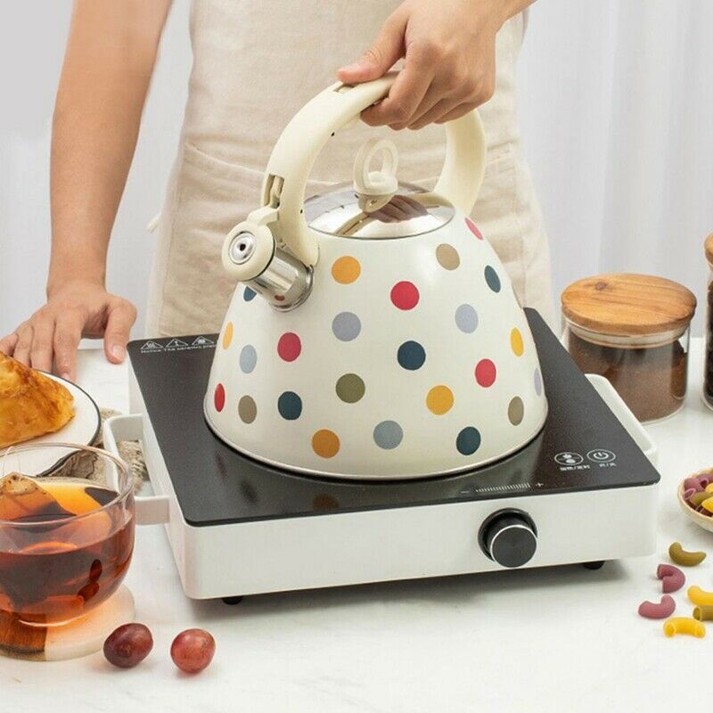 3L Stainless Steel Whistling Tea Kettle Teapot with Heat-Resistant Handle CoL3V9