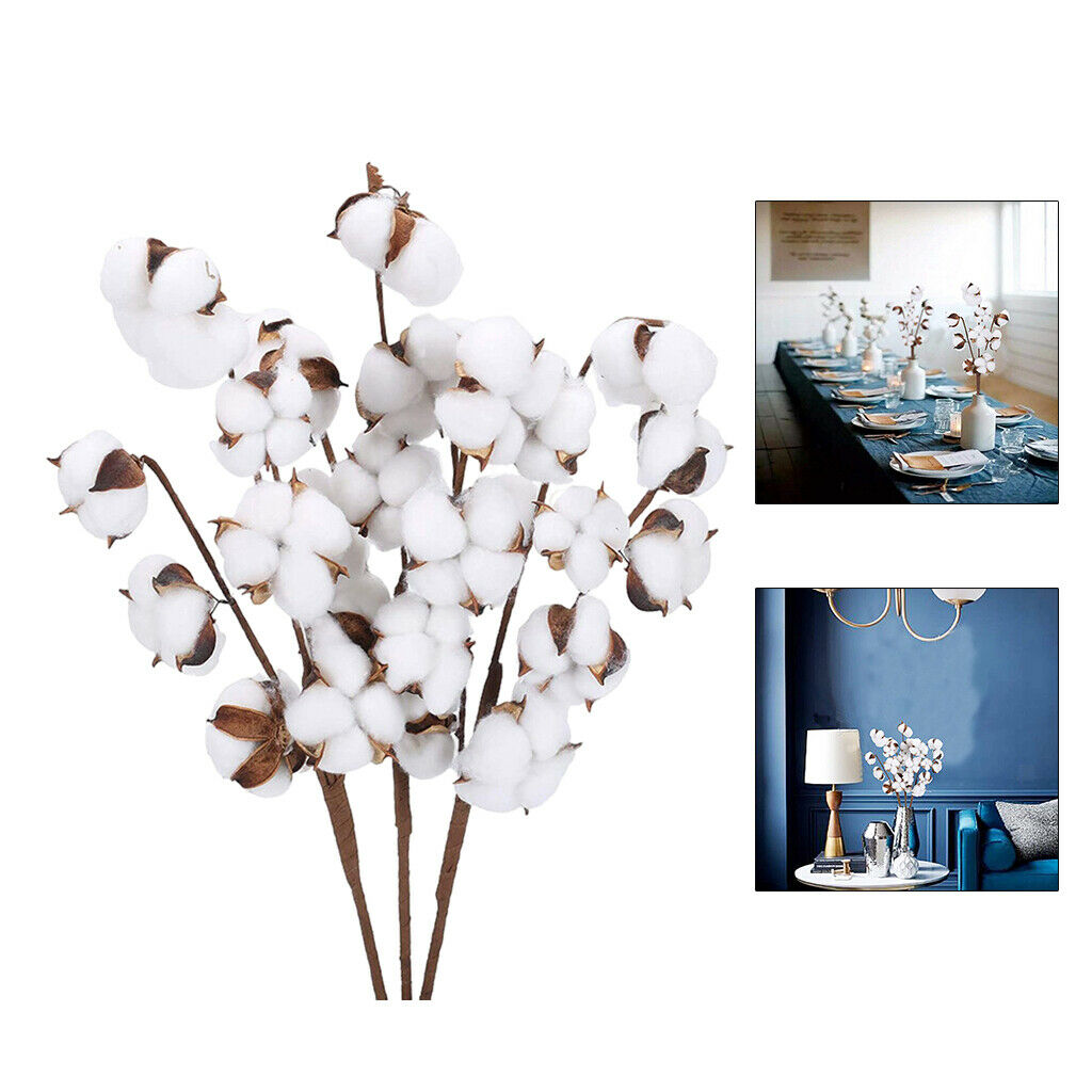 Dried Cotton Stems Table Centerpieces Vase Filler for Decor 7 Bolls 6pcs