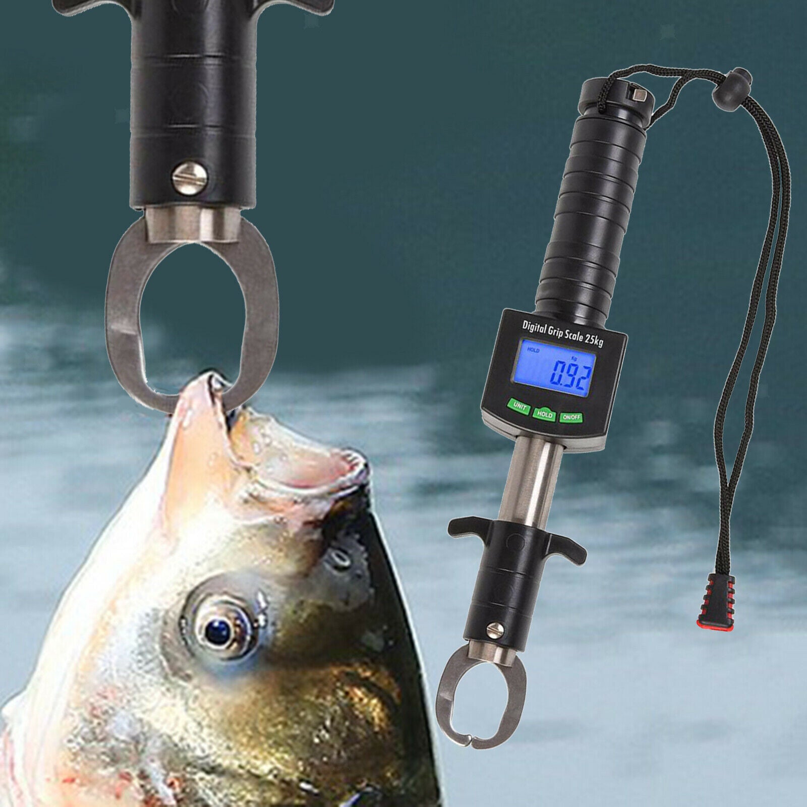Fish Lip Gripper with Electronic Scale 55 Pound 1M Tape Measure Fish Catcher