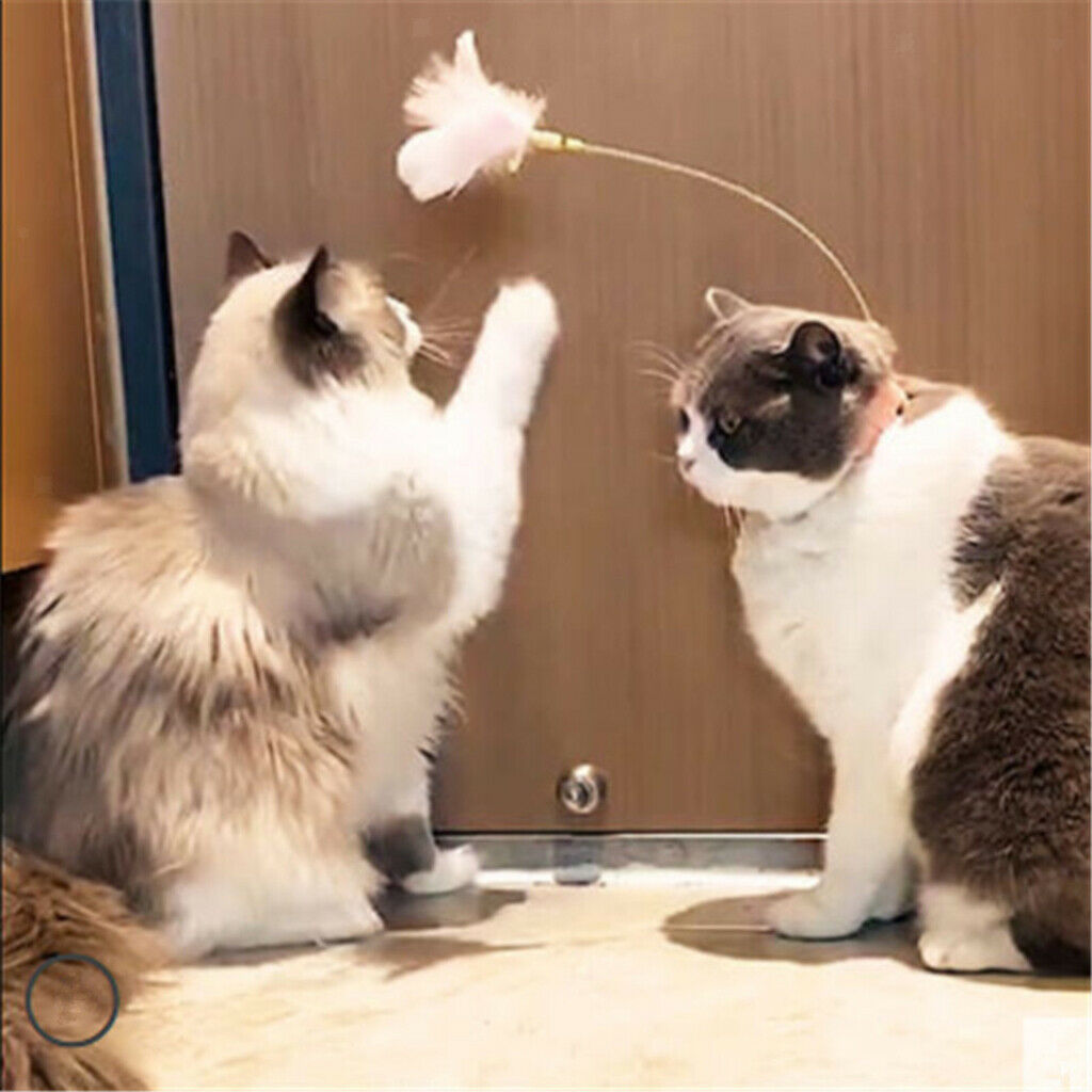 Interactive Cat Feather Teaser w/ Collar Toys Wand Stick Exerciser Catcher