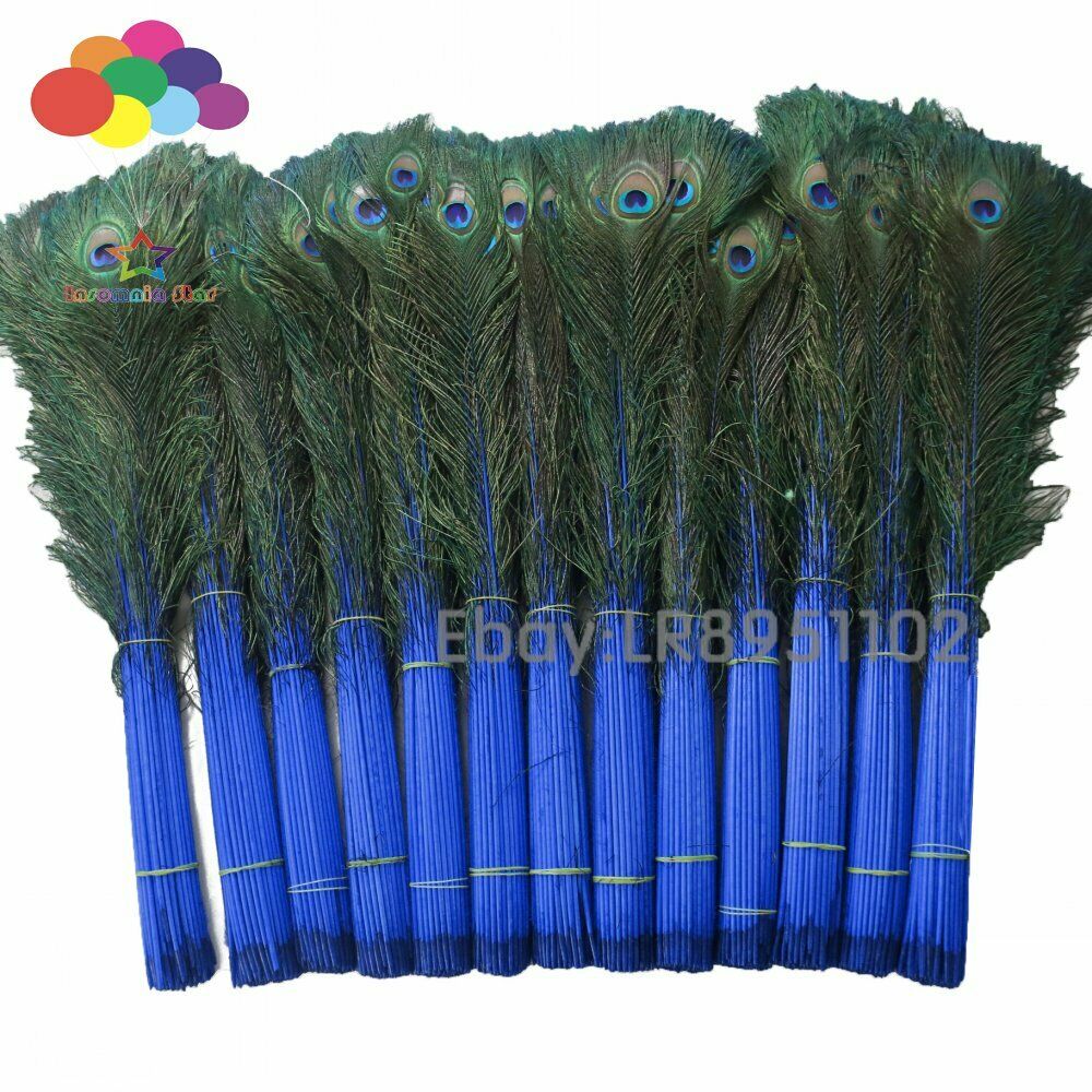 100 Pcs sapphire Real Peacock Feathers 70-80cm Feathers for Crafts Wedding