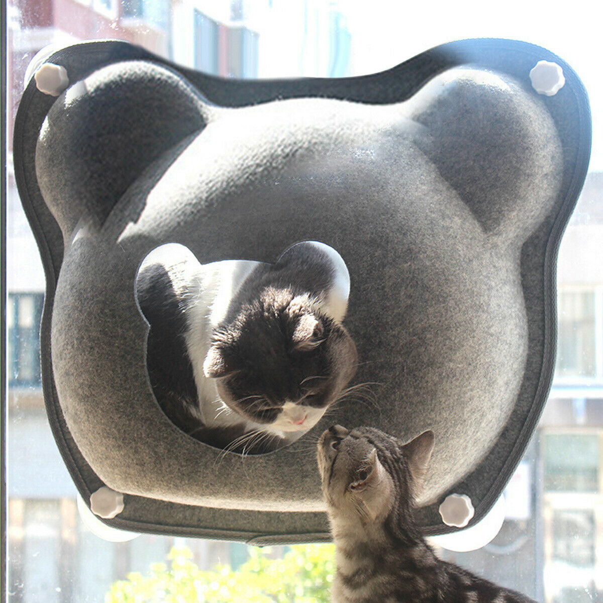 Sunshine Window Mounted Kitten Hammock Basking Bed Bear Shape Cat House