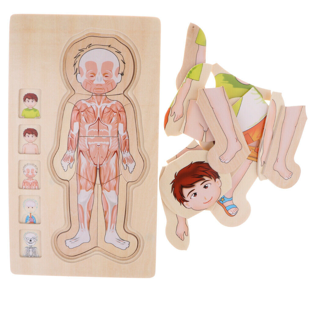 Wooden Puzzles for  Boys and Girls - 5 Layers Boy Body Structure Puzzle