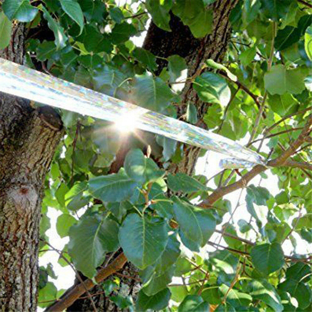 Bird Scare Tape Audible Repellent Pigeons Fox Repeller Ribbon JOeterre_DD