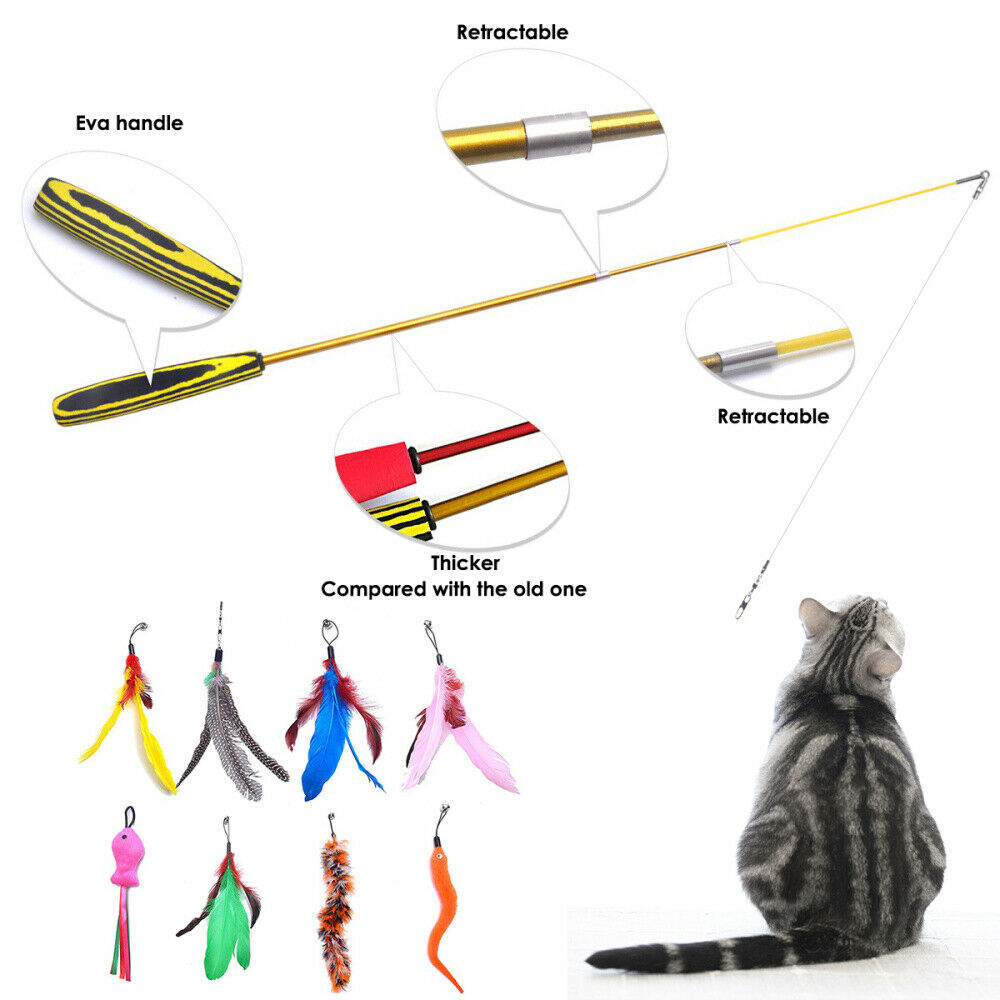 Interactive Cat Teaser Wand Rod Bird Feather Wire Chaser Funny Toys Retractable