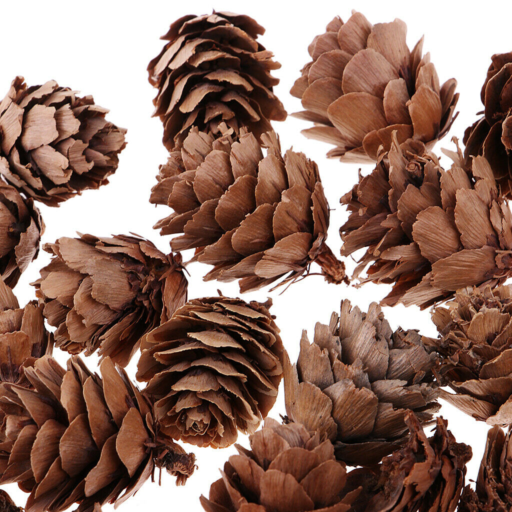 30x Small Natural Dried Pine Cones in Bulk Dried Flower for Christmas Decoration