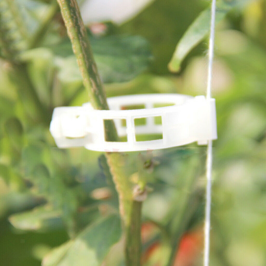 100pcs White Plastic Vine Plant Clip Plant Support Clips Plant Vines Fixing