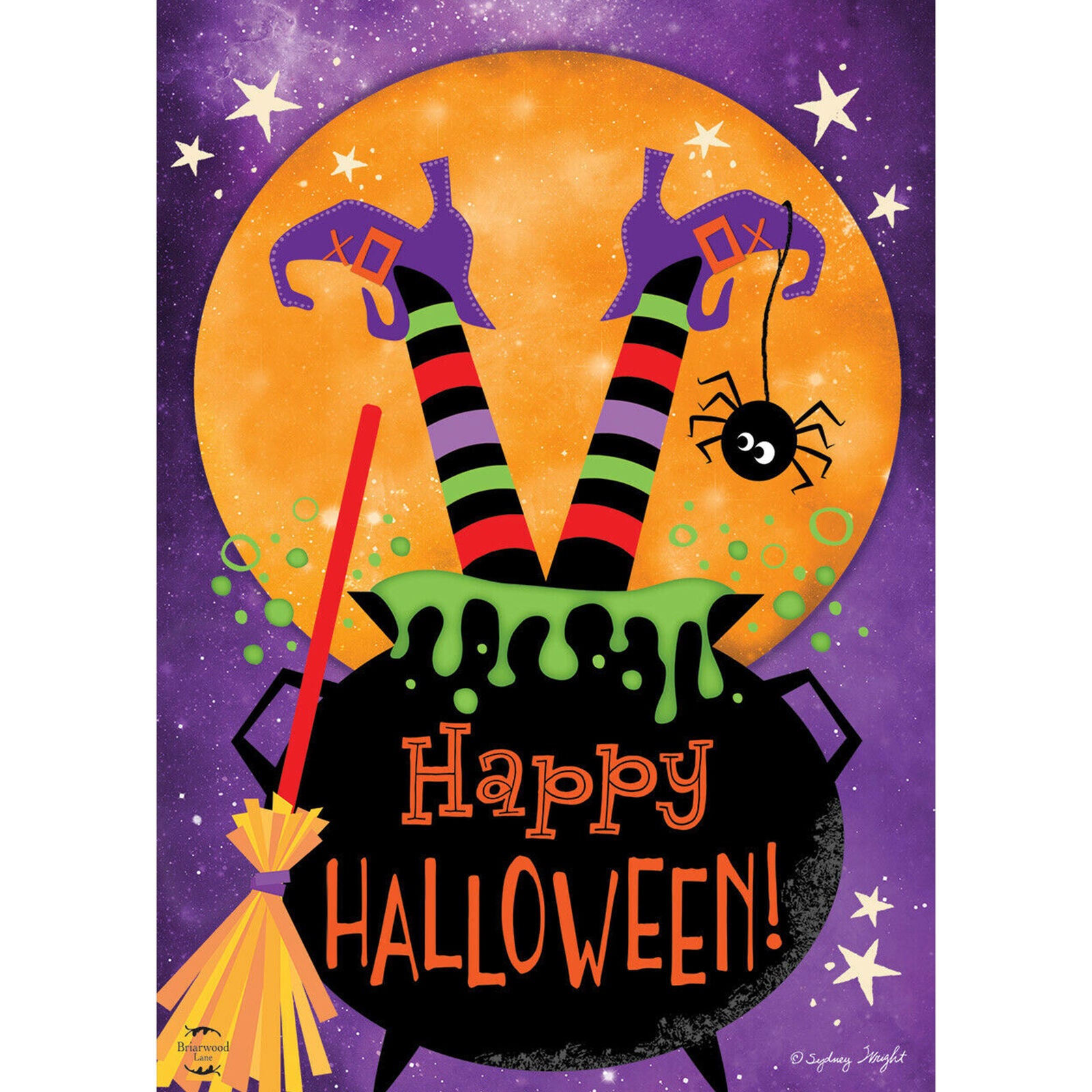 Witch Feet Halloween House Flag Cauldron Full Moon 28" x 40" Briarwood Lane