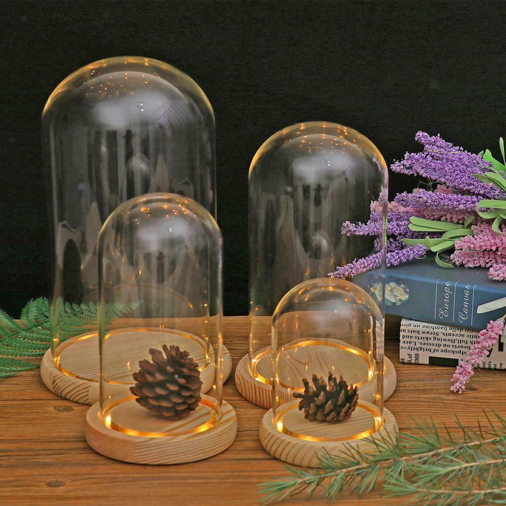 Clear Glass Display Dome with LED Wood Base Microlandscape Holder E 12x12cm