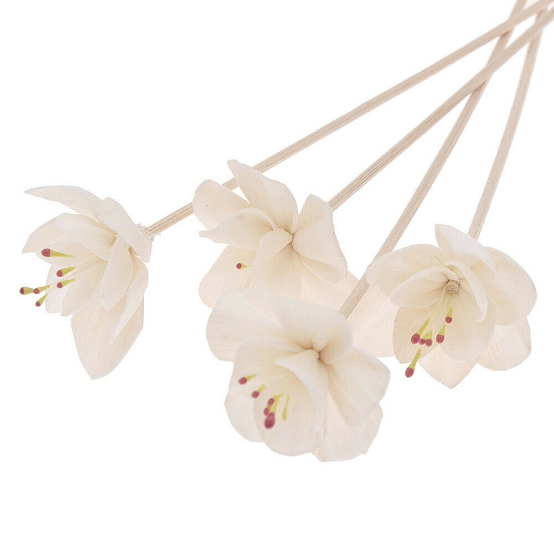 5PC Red Core Plum Flower Rattan Reed Diffuser Refill Home Aromatherapy Freshener