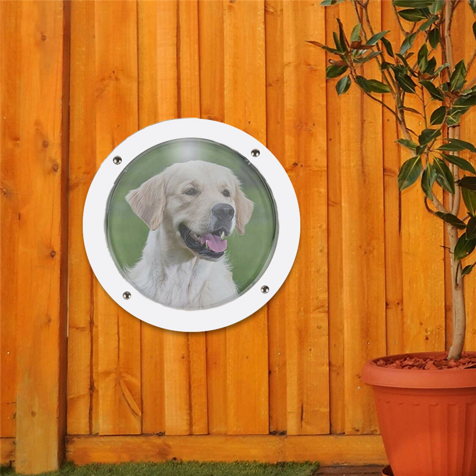 Dog Fence Window Acrylic Dog Dome for Backyard Fence Satisfying Curious Pets