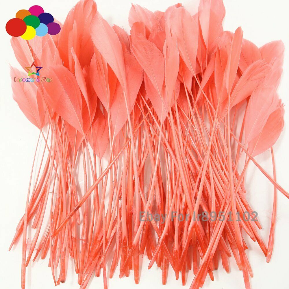 100 Pcs 6-8inch watermelon red Rooster Tail Feather Clothing Decoration Coque