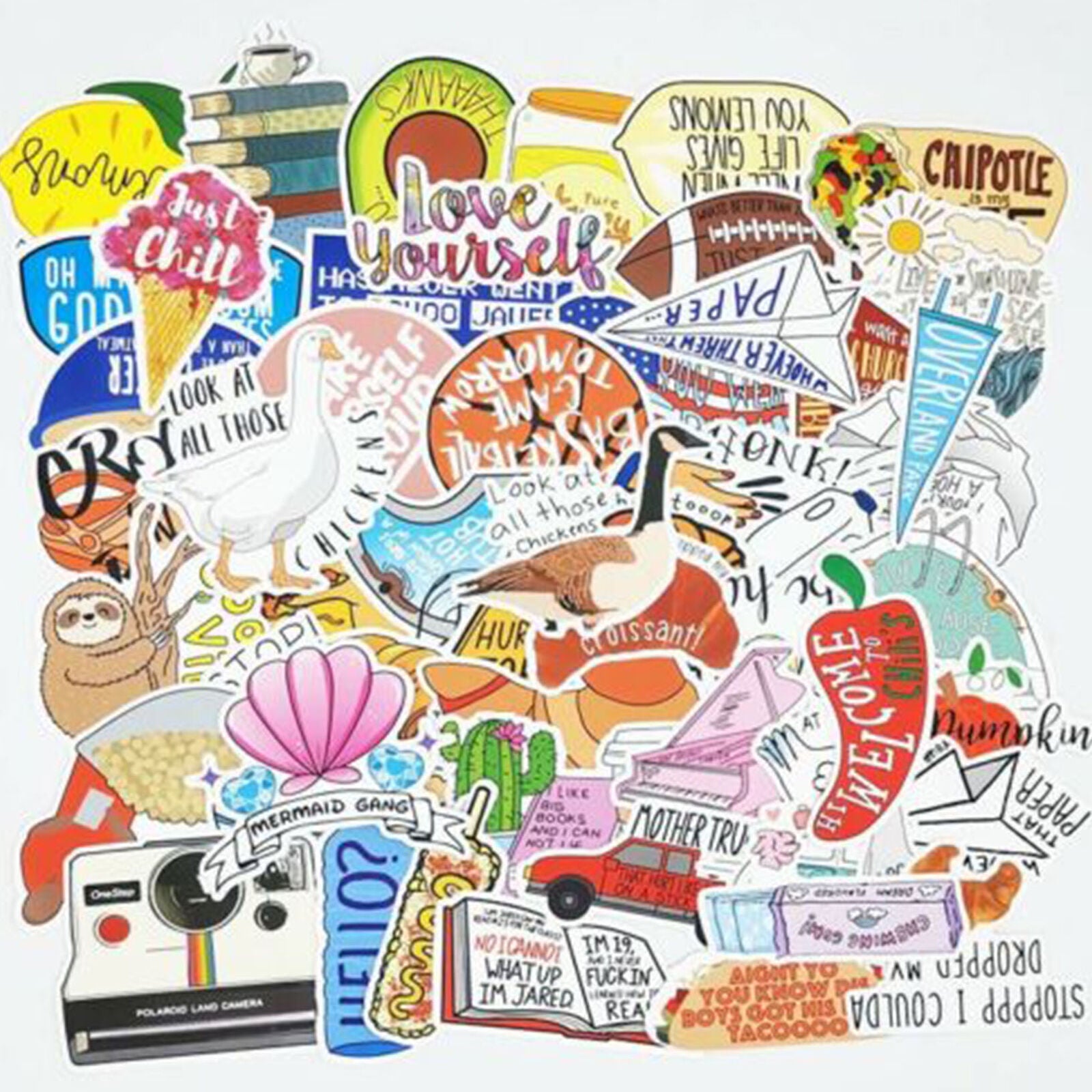 100Pcs Cute Vine Stickers Pack for Luggage Laptop Skateboard Water Bottle Decals