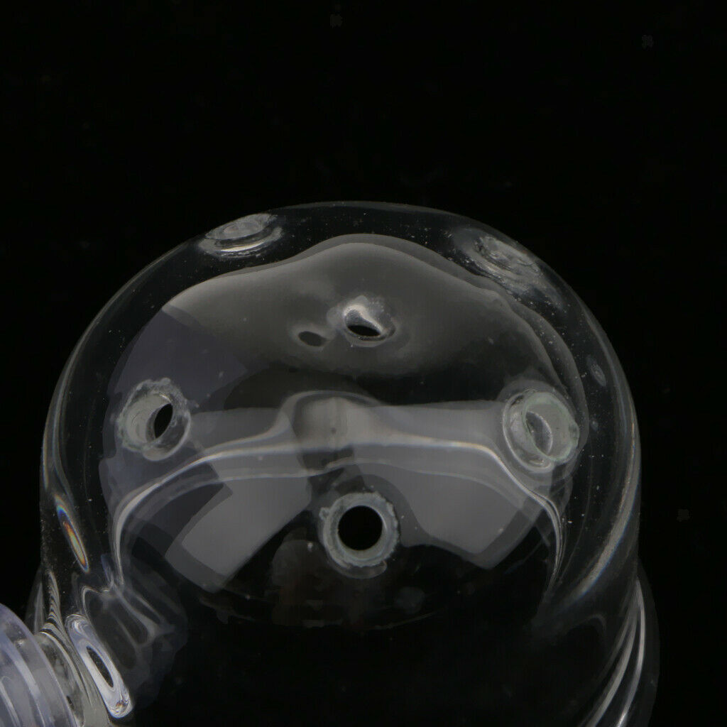 3 Pieces Glass Pot Plant Cup Holder Shrimp Aquarium Fish Tank Aquatic Feeder