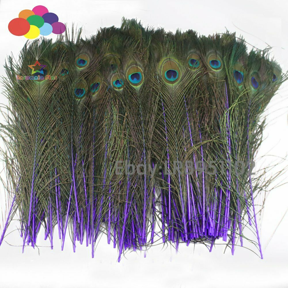 Deep purple Peacock Feathers 16-18 inches Long 40-45cm 100 pieces per pack