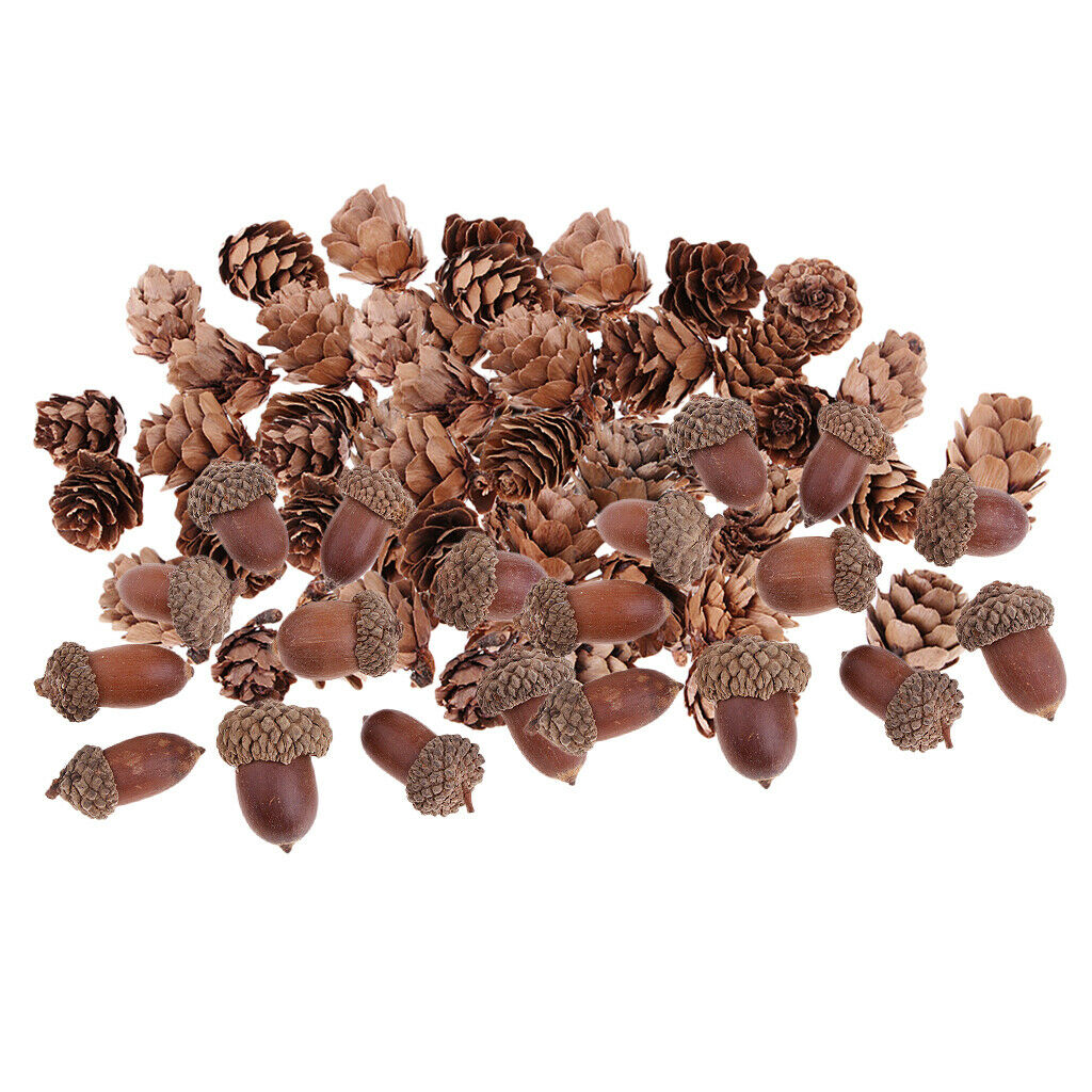 40x Natural Decorative Pinecone Dried Acorn Party Hanging Decor 1.5 -2.5 cm