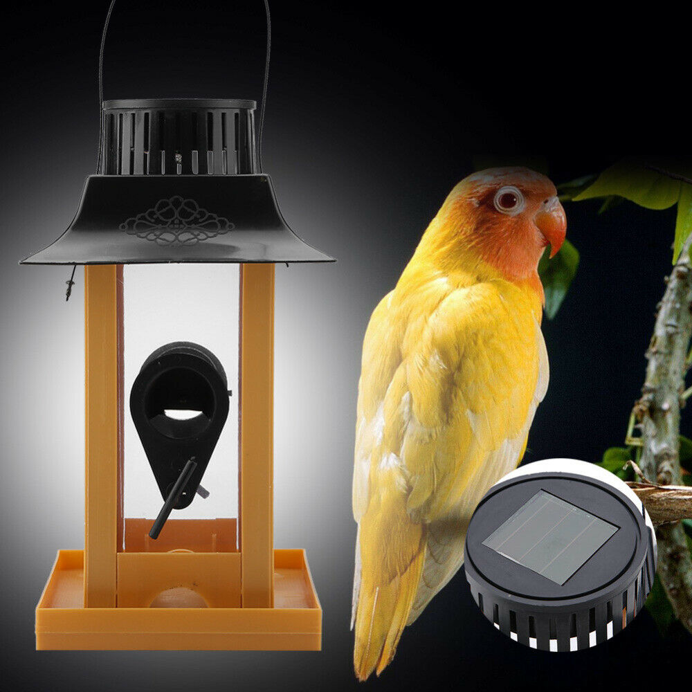 Hanging Wild Bird Feeder Solar LED Light Outdoor Balcony Decor Parrot Feeder