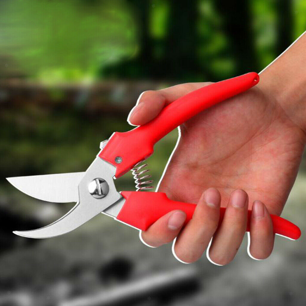 Garden Pruning Shears Bonsai Pruners Secateurs Floral Branches Tree Shear