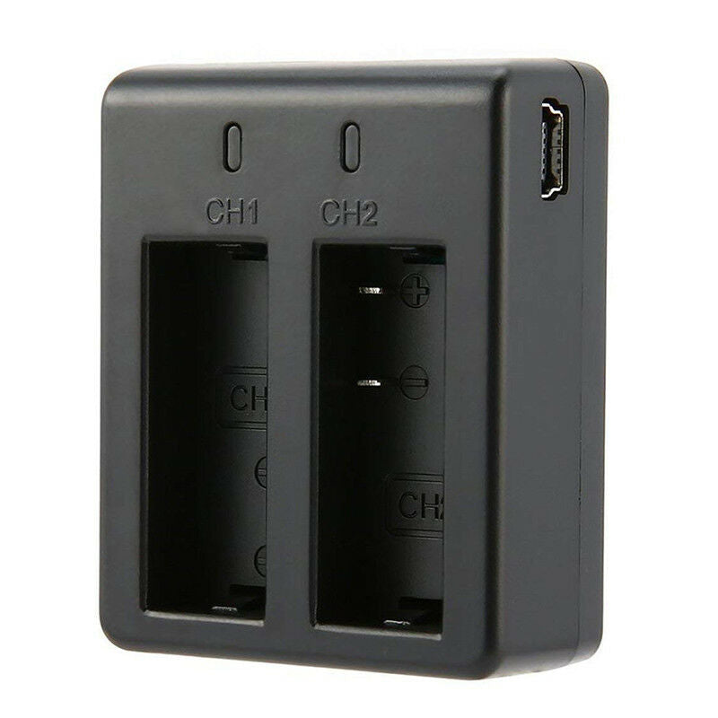 2in1 Dual Slot Battery Charging Cam Charger Camera Dock for EKEN SJCam SJ4000 DD