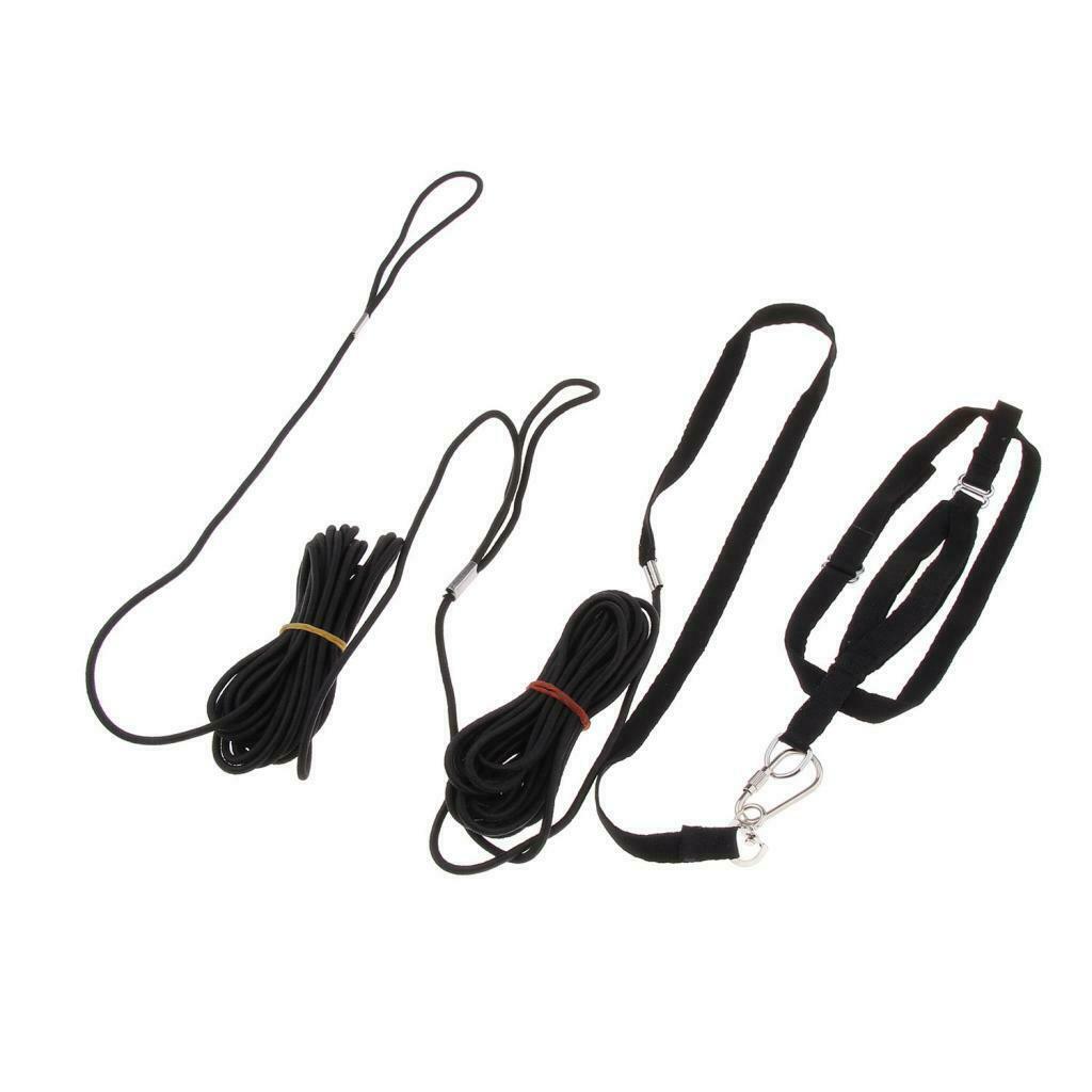 Parrot Bird Leash Outdoor Adjustable Harness Training Rope For Budgerigar Finch