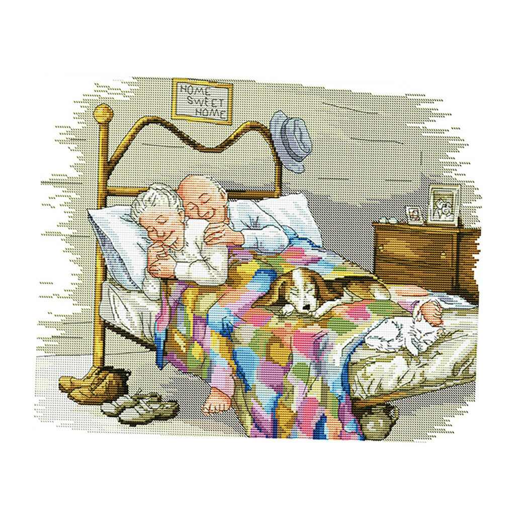 Cross Stitch Kit, Cross Stitch Embroidery Kit Set DIY Needlework, Married