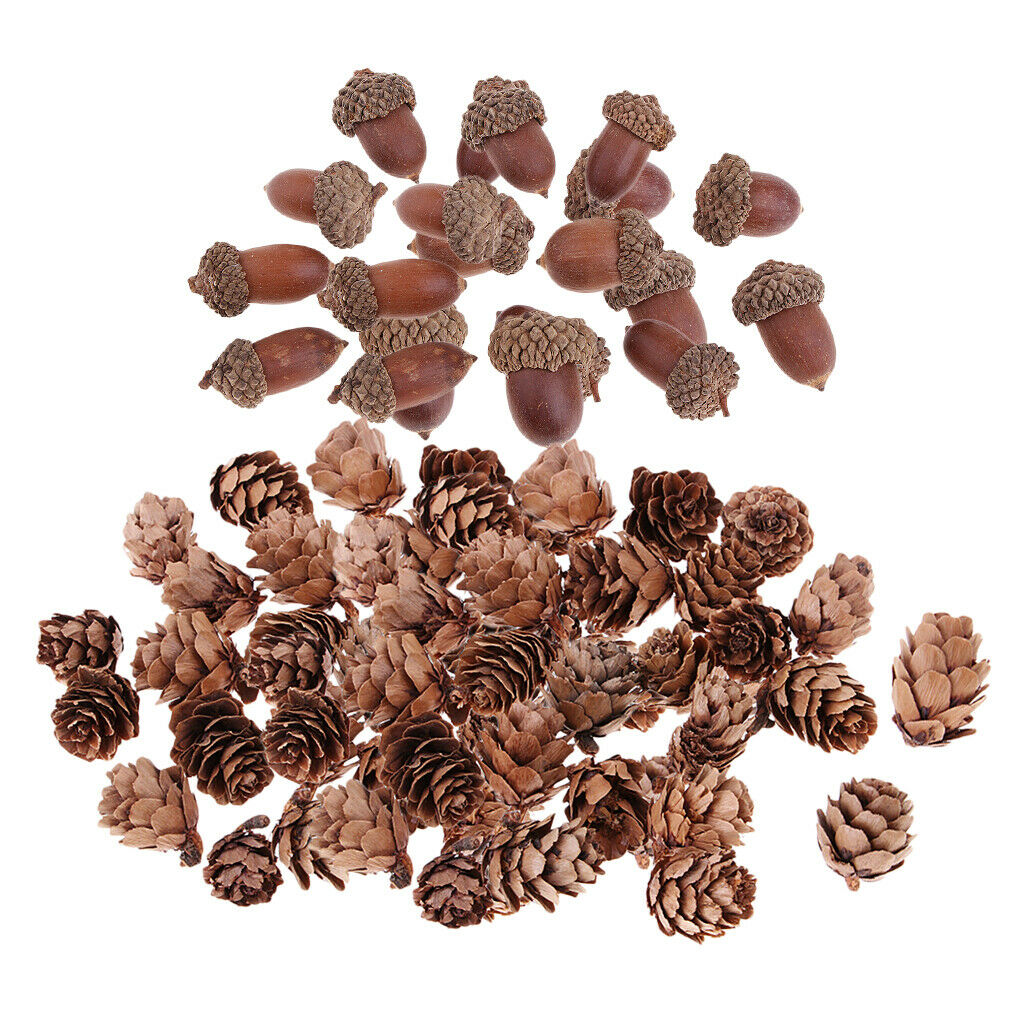 40x Natural Decorative Pinecone Dried Acorn Party Hanging Decor 1.5 -2.5 cm