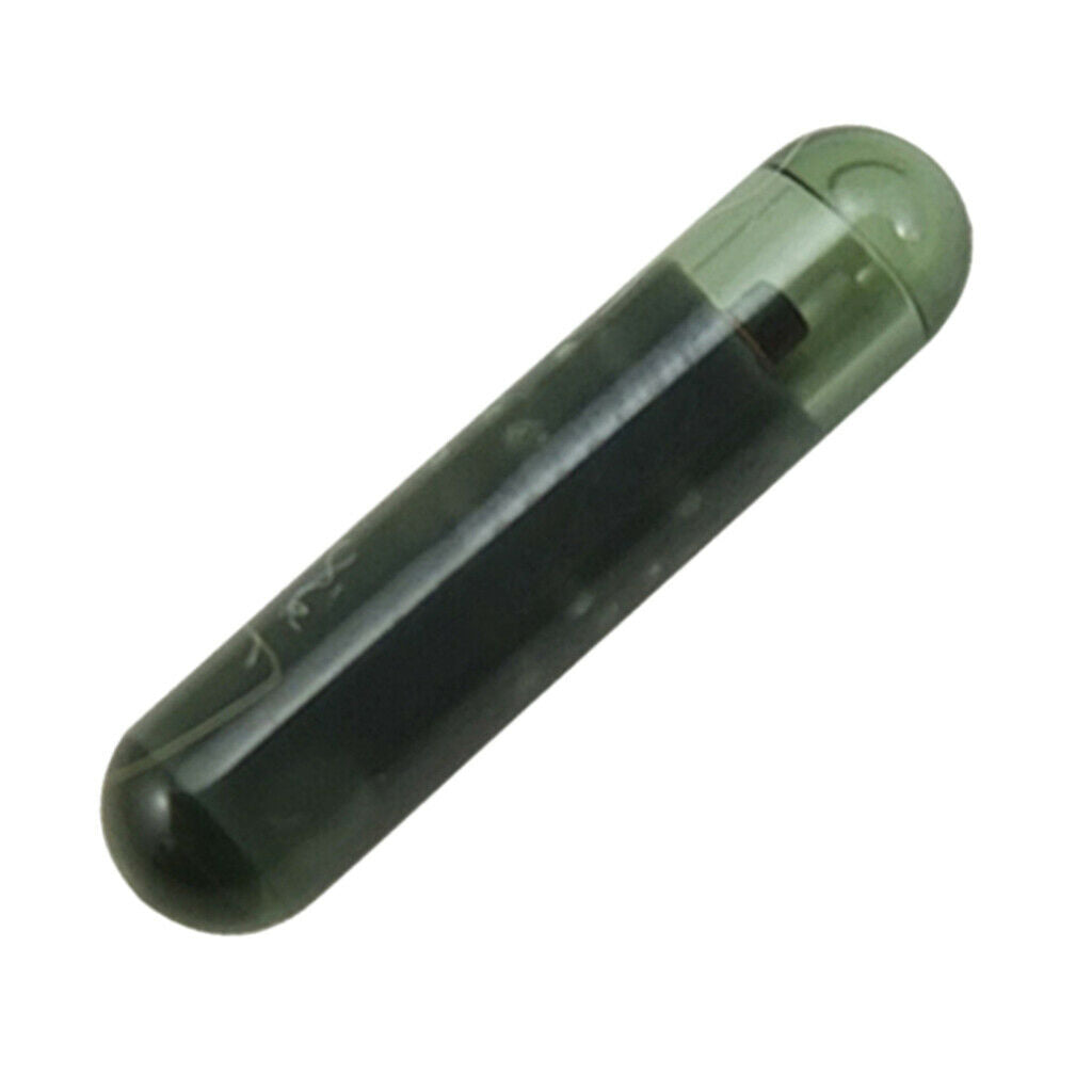 Pro ID48 Blank Cloning Chip