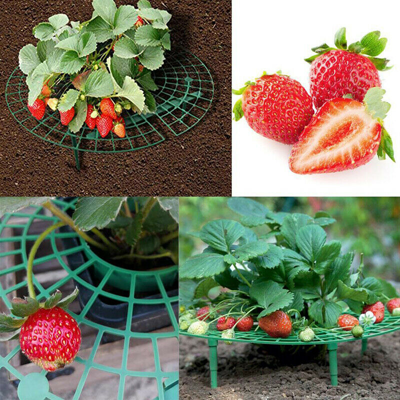 3pack Strawberry Frame Holder Balcony Planting Rack Support Climbing Vine StBDA