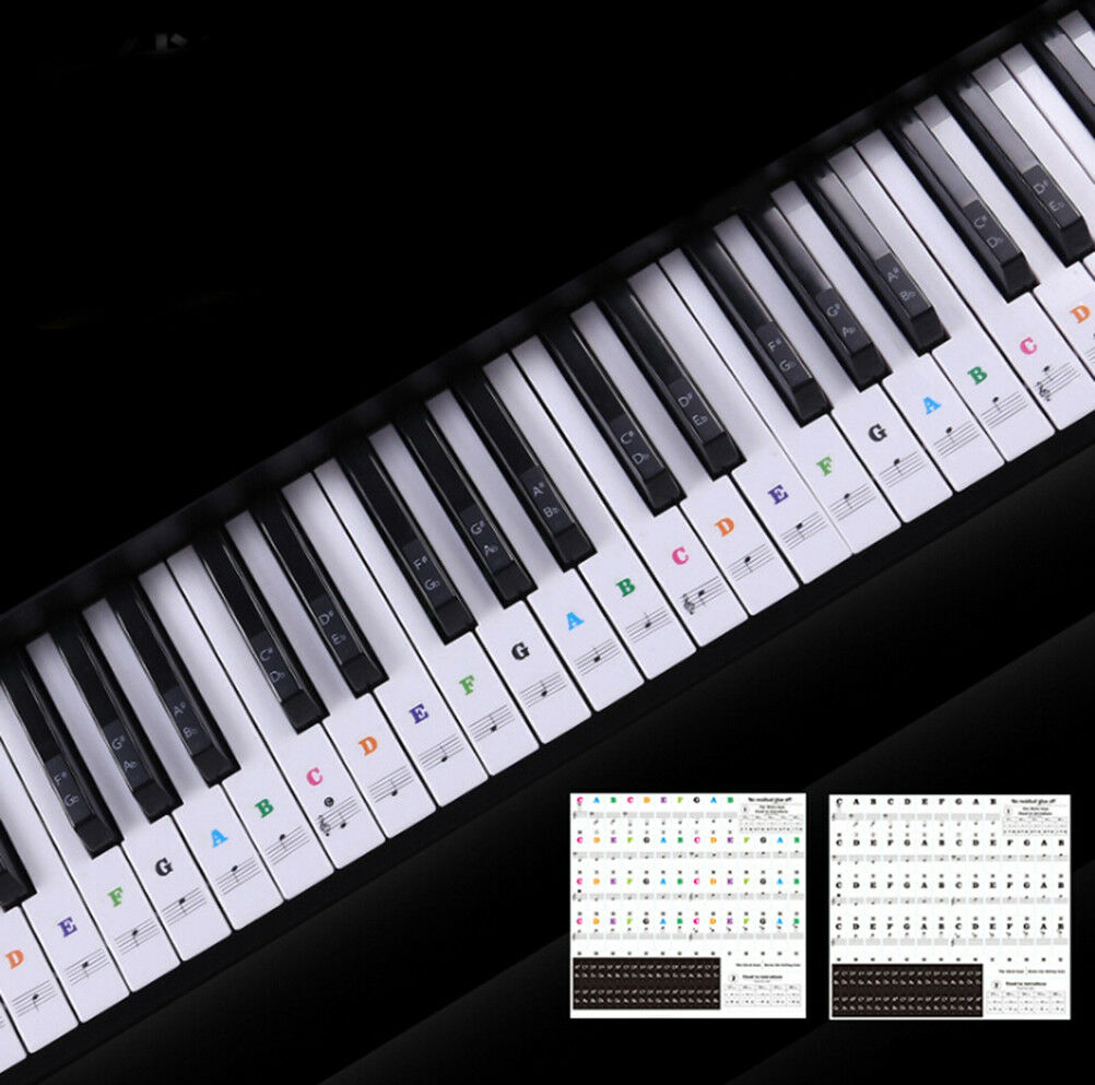 Keyboard Piano Multicolor Removable Piano and Keyboard Stickers for 49 61 76DEAU
