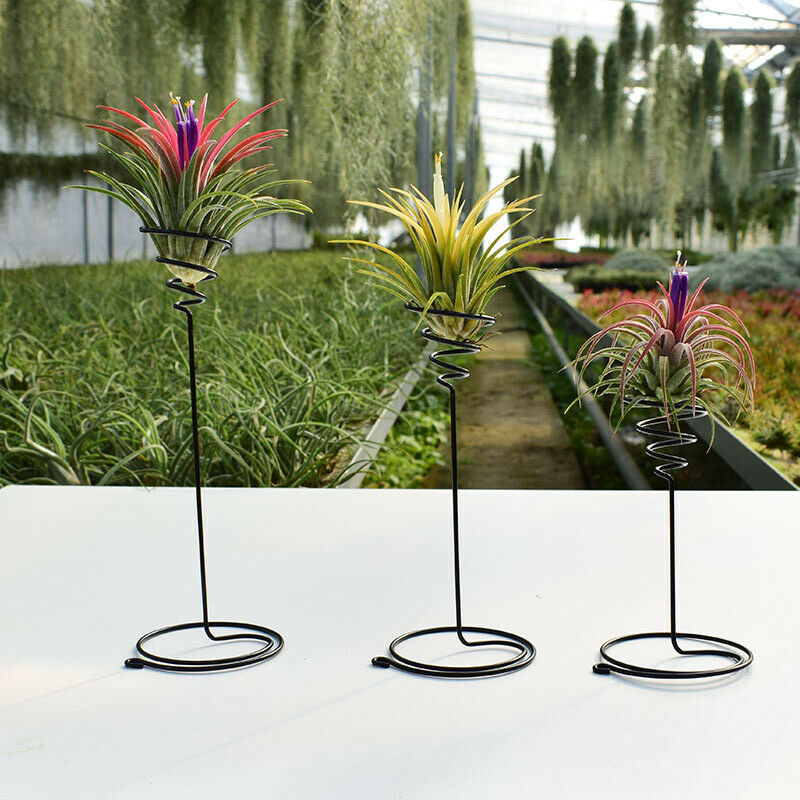 3Pcs Metal Air Pineapple Stand Base Plant Flower Rack Holder Home Balcony.l8