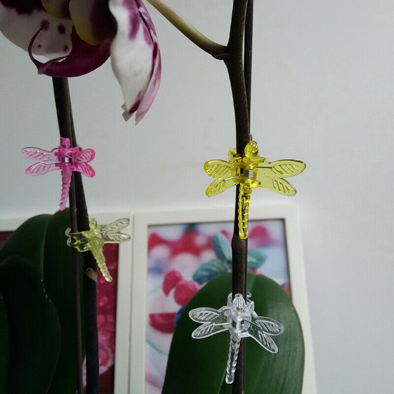 30Pcs Dragonfly Orchid Clips Orchid Grower Support Garden Plant Vine ClipsON KX