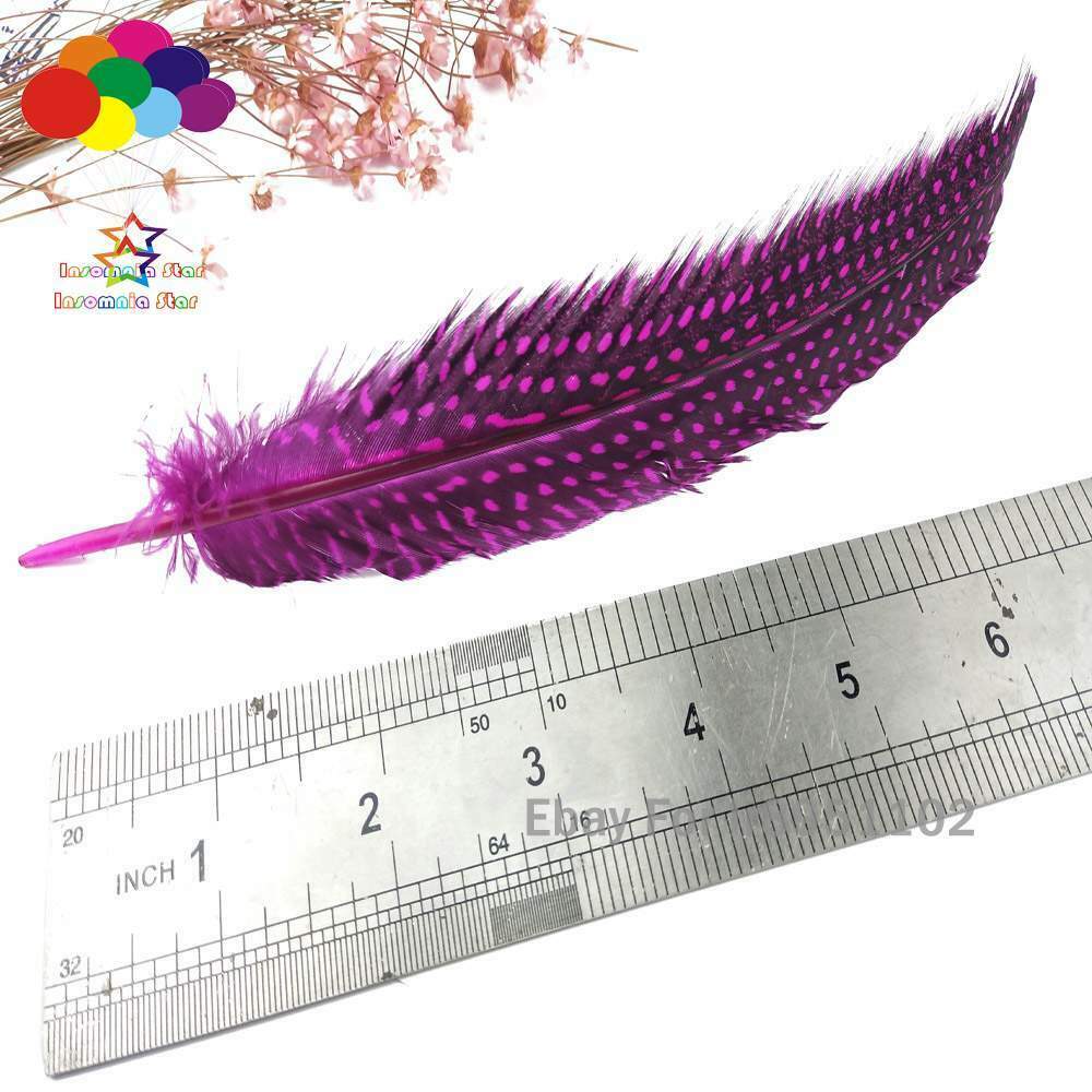 Turkey rose red 100pcs Unique Dyed Polka Dot Guinea Fowl Wing Quill Feathers