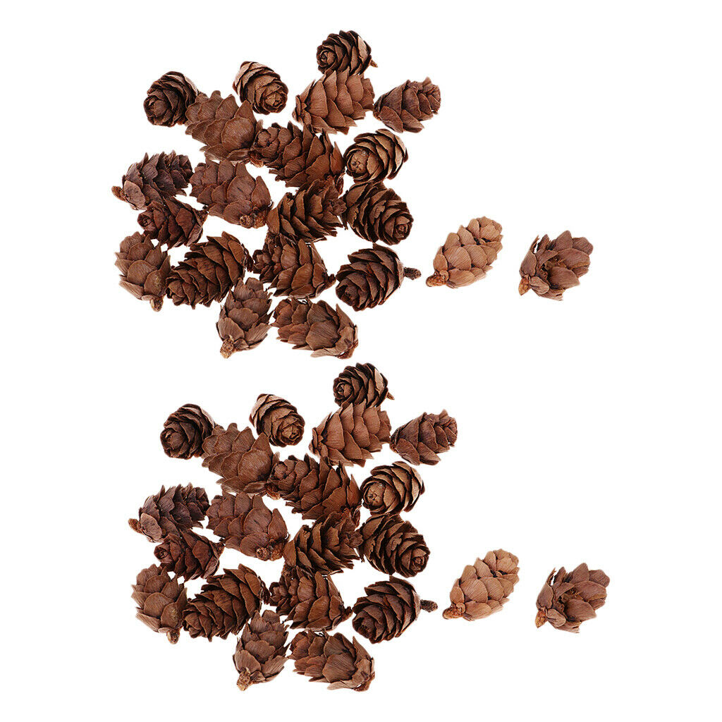 100x Decorative Pinecone Pine Cone Vase Bowl Filler Display Table Decoration