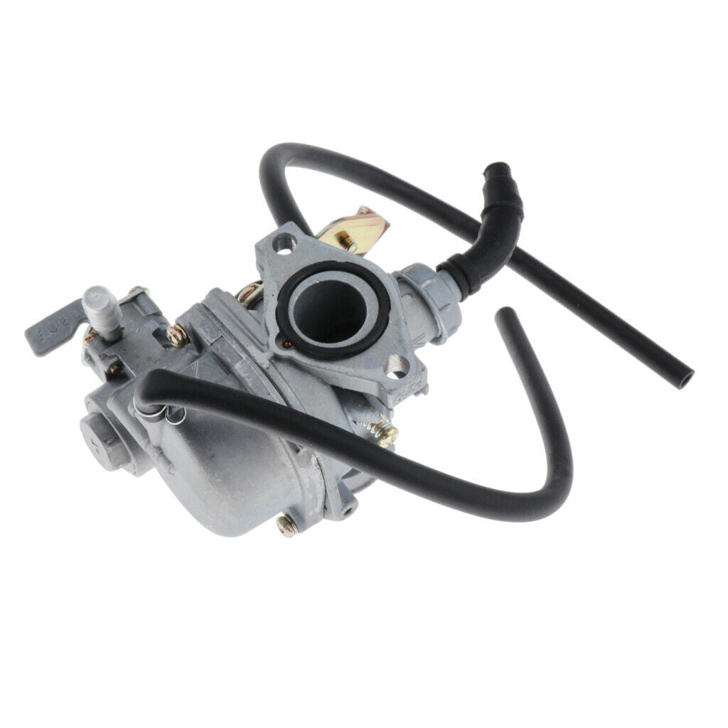 PZ19 19mm Intake Diameter Carburettor Carb For  DY100 CD110 ATV Scooter